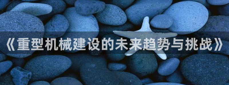 龙八国际2023