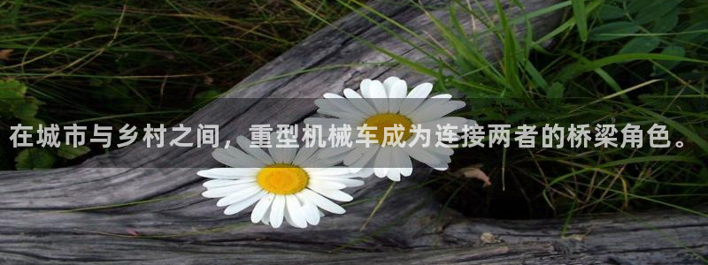 龙八国际网址是多少