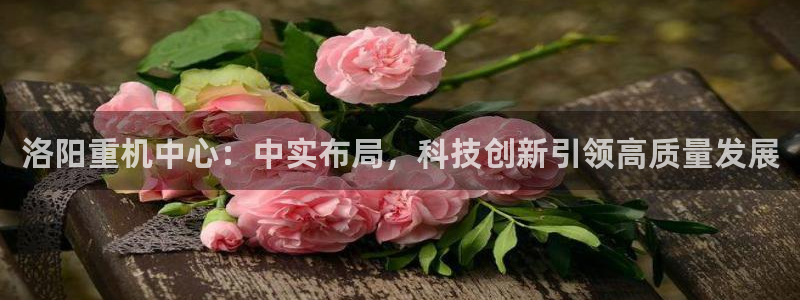 龙八国际app