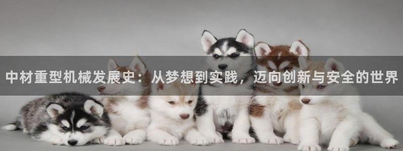龙八国际娱乐会所