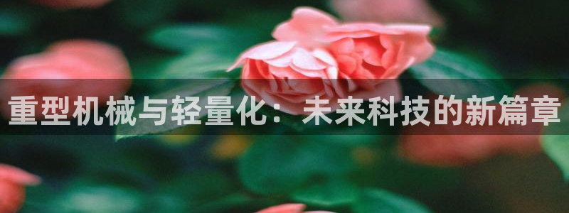 菲律宾的龙八国际输钱