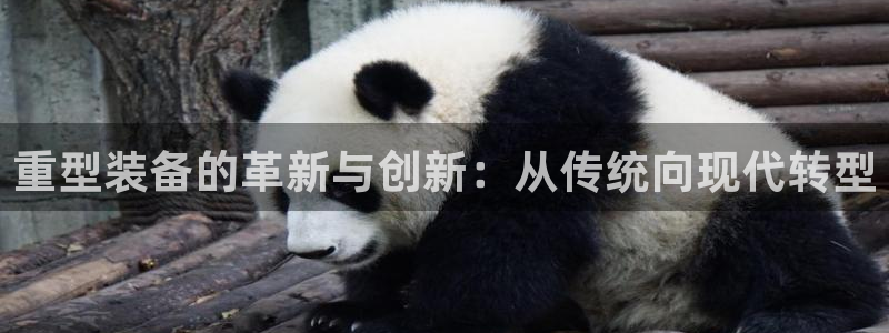 龙八国际下载安装彩