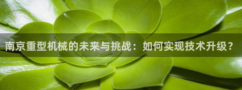 龙八国际娱乐客服