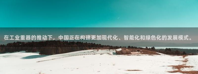 龙八国际是什么