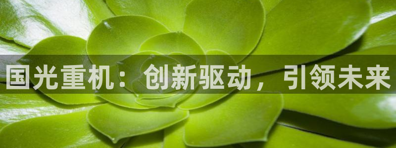 龙八国际娱乐