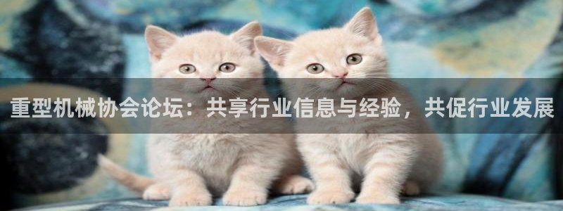 手机版龙八国际官网
