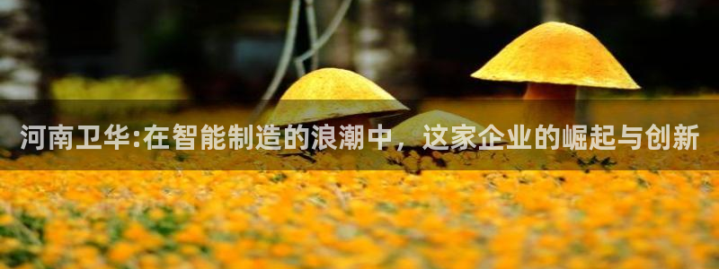 龙八国际试玩网页版