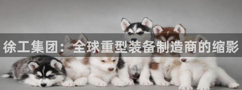 龙八国际平台真人游戏