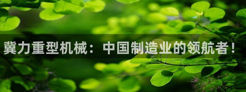 龙八国际娱乐地