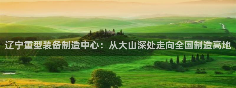 怎么举报龙八国际