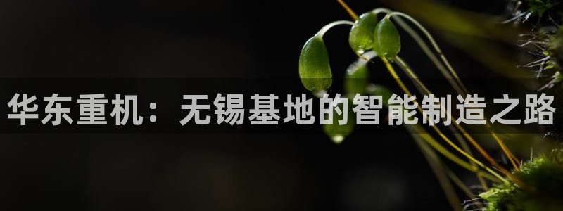 龙八国际手机版下载苹果