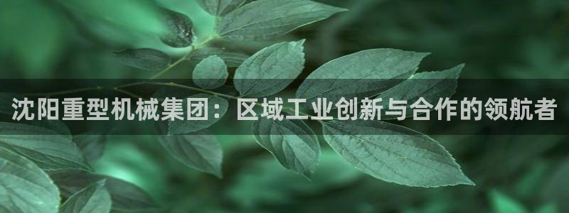 龙八国际客户端pt
