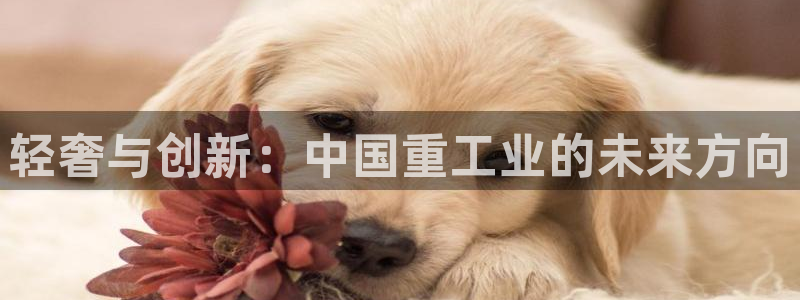 龙八国际手机app