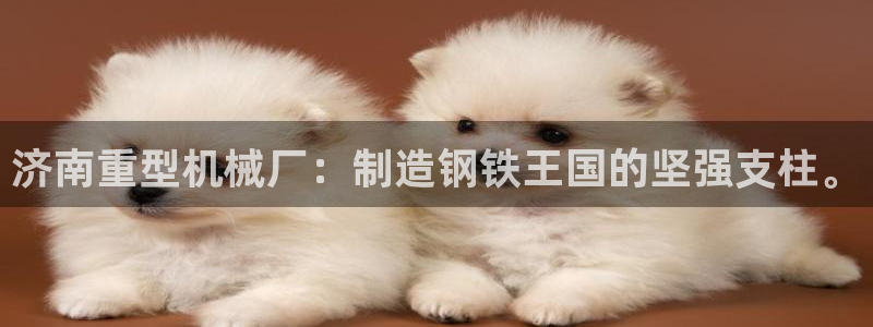 龙八国际娱乐 pt