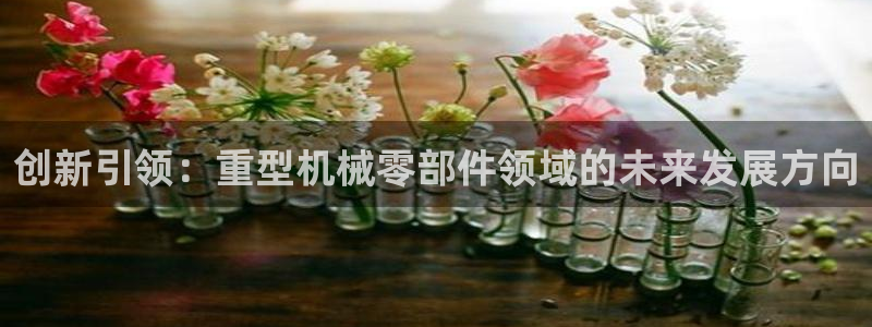 龙八国际网址