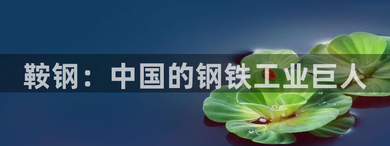 龙八国际贸易有限公司