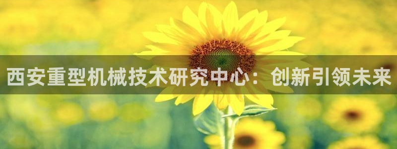 龙八国际娱乐网页多少