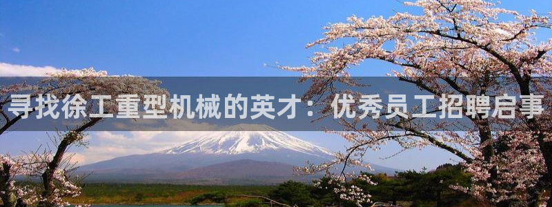 龙八国际官方网站手机版