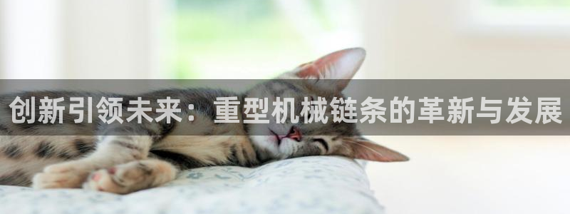 龙八国际app下载安卓