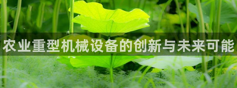 龙八国际登入