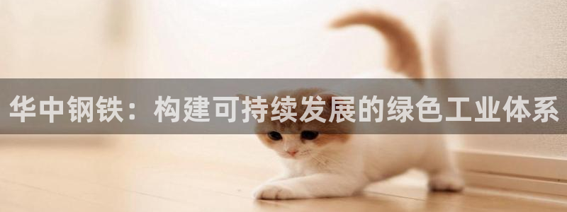 龙八国际有没有假