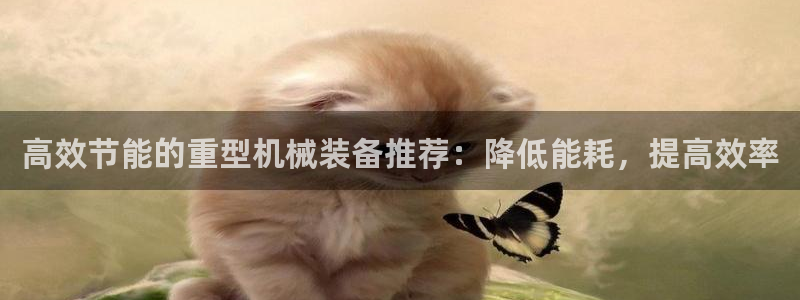 龙八国际网站