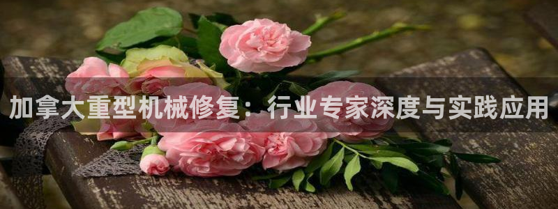 下载龙八国际游戏