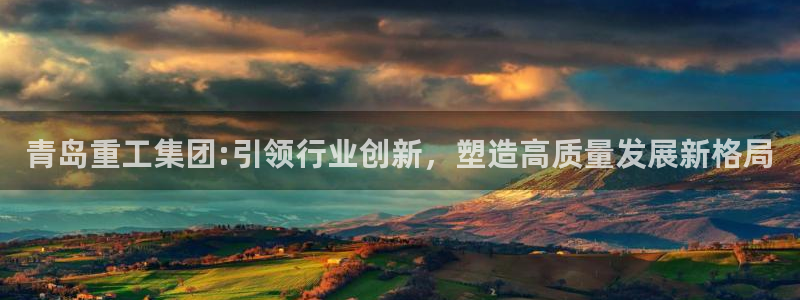 不会玩龙八国际