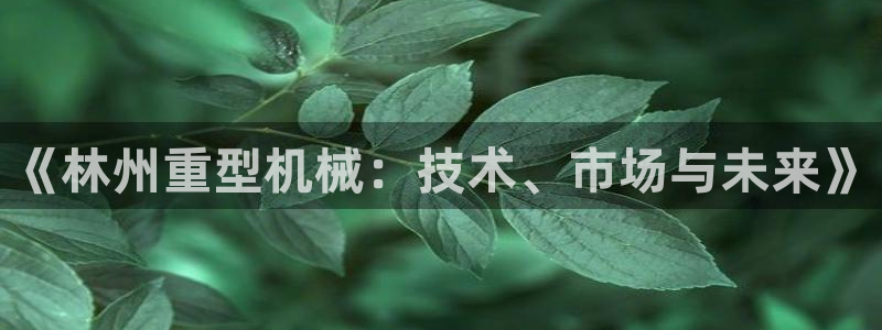 龙八国际打开页面