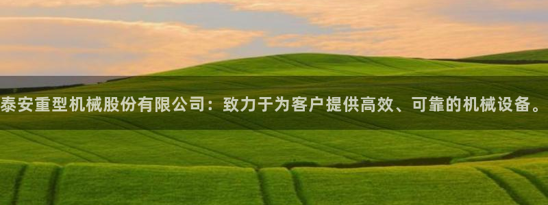 龙八国际手机版