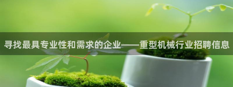 龙八国际代理