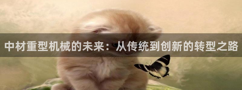龙八国际APP客户