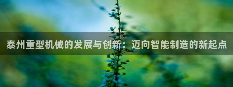 龙八国际l8520