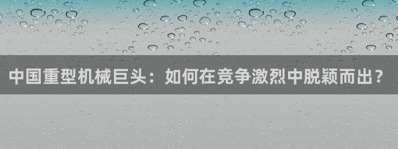 龙八国际游乐城