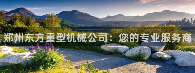 在龙八国际