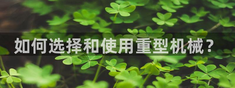 龙八国际娱乐官网下载