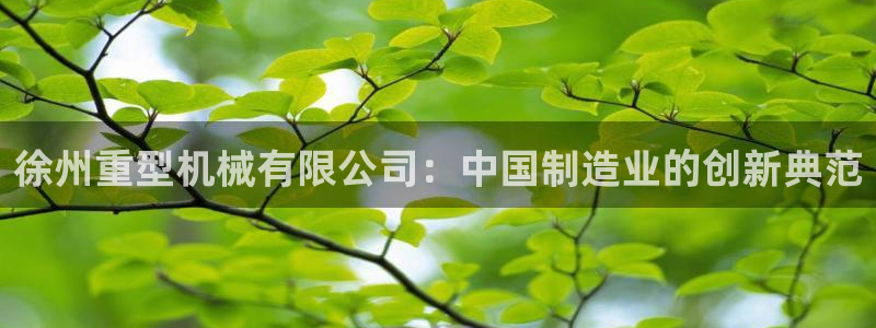 龙八国际新版