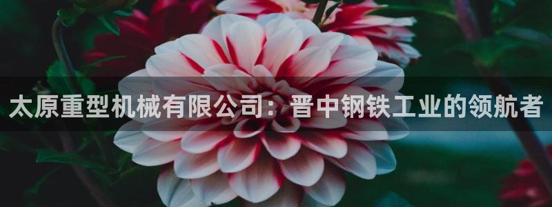 龙八国际输死人