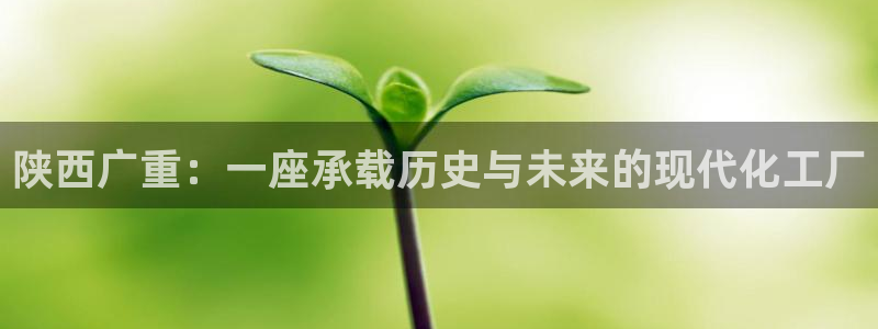 龙八国际娱乐官方网站