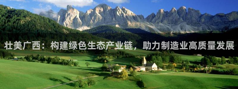龙八国际优惠券
