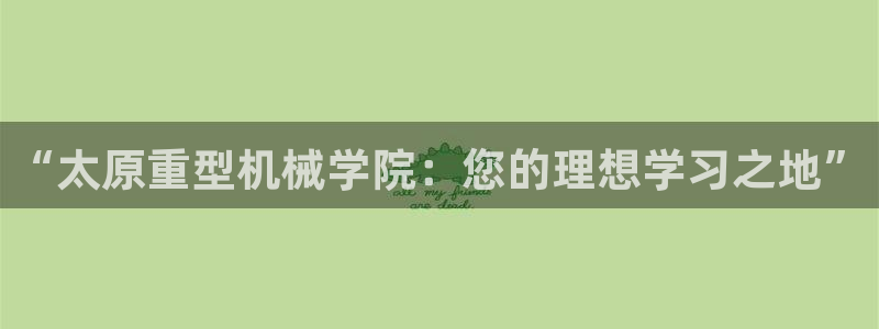 龙八国际安全