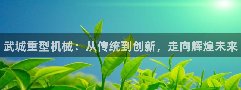 龙八国际手机版下载官网