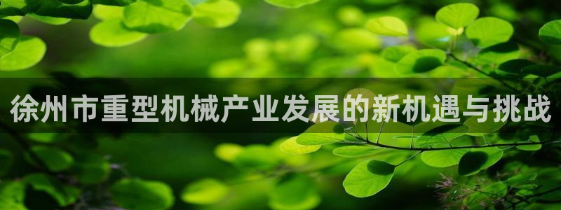 龙八国际娱乐手机版