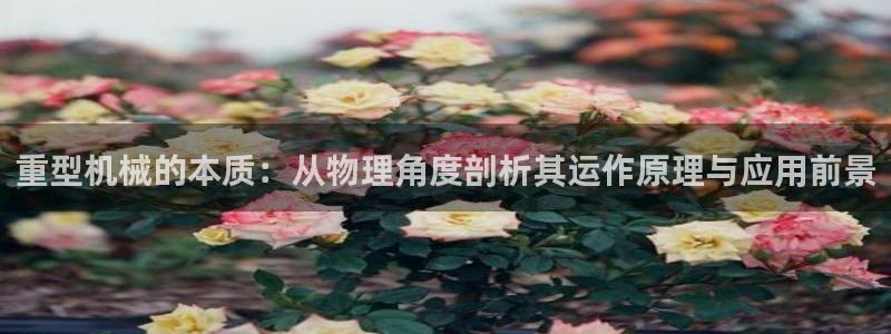 龙八国际官网