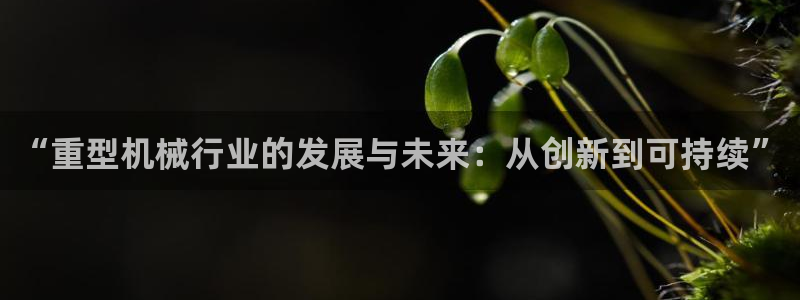 龙八国际网页版本