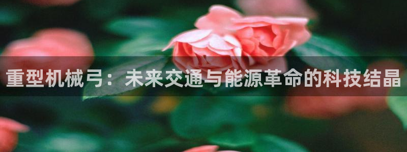 龙八国际网页long8868