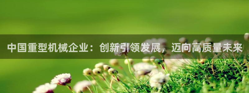 龙八国际官方手游