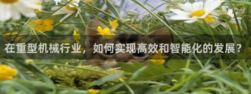 龙八国际娱乐网页多少