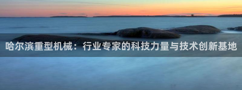 龙八国际集团