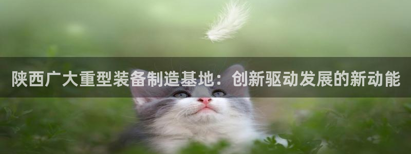 龙八国际app下载安卓